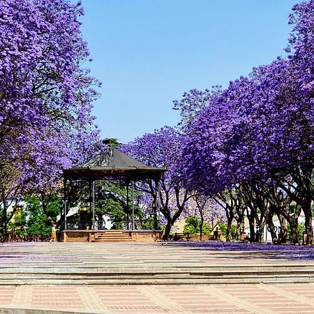 Alazan Jerez Iv-Parking Gratis-Wifi-Netflix Apartment Jerez de la Frontera Bagian luar foto