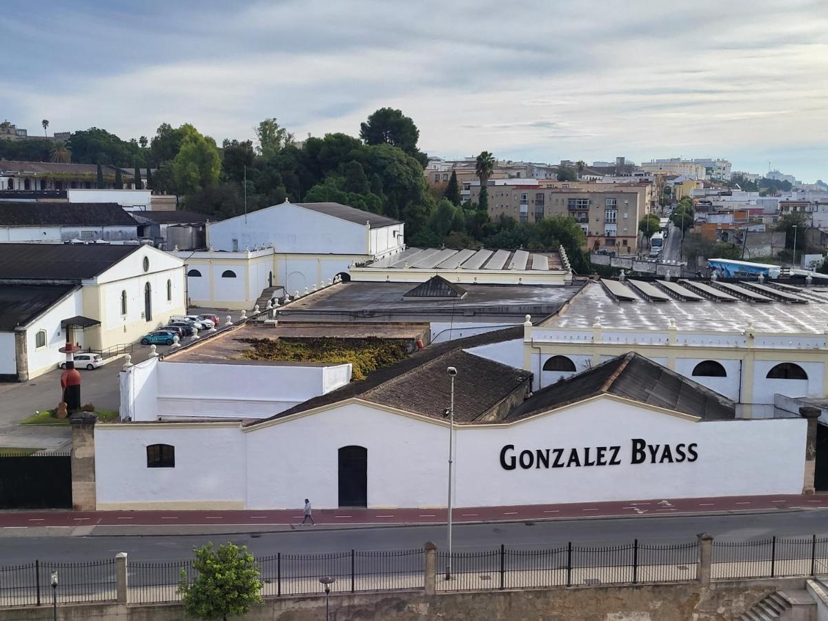Alazan Jerez Iv-Parking Gratis-Wifi-Netflix Apartment Jerez de la Frontera Bagian luar foto