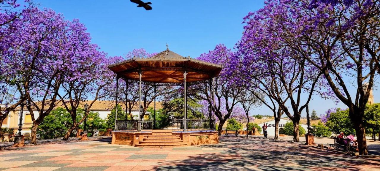 Alazan Jerez Iv-Parking Gratis-Wifi-Netflix Apartment Jerez de la Frontera Bagian luar foto